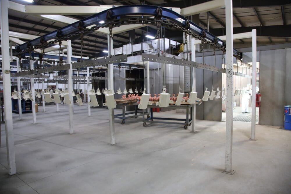 Production facility showcasing an assembly line with hanging